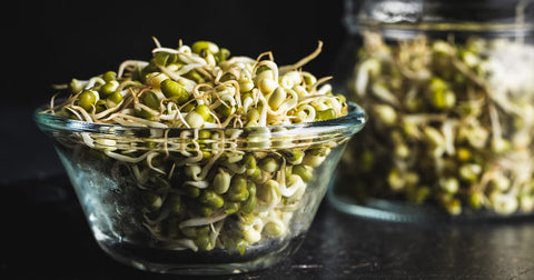 Are Mung Bean Sprouts Healthy? A Guide to Sprouting Wellness