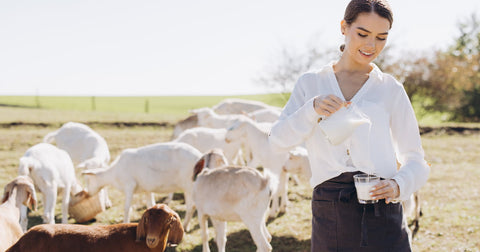 Does Goat Milk Have Lactose? Seeking Dairy Alternatives