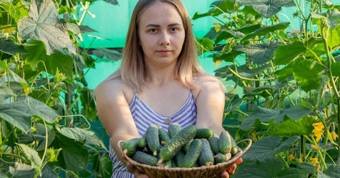 Importance of Cucumber Sexually: Benefits for Women's Wellness
