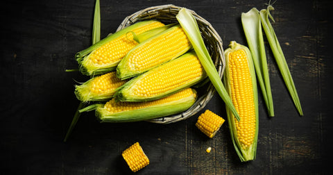 Understanding Corn Intolerance Symptoms and Diagnosis