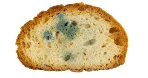 What Happens If You Eat Moldy Bread