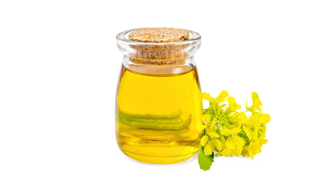 Why is Canola Oil Banned in Europe