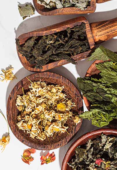 Adaptogenic Herbs for Calm Energy & Resilience*