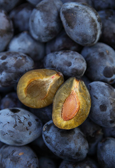 Antioxidant Protection