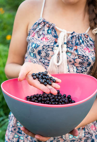 Enhances Antioxidant Protection