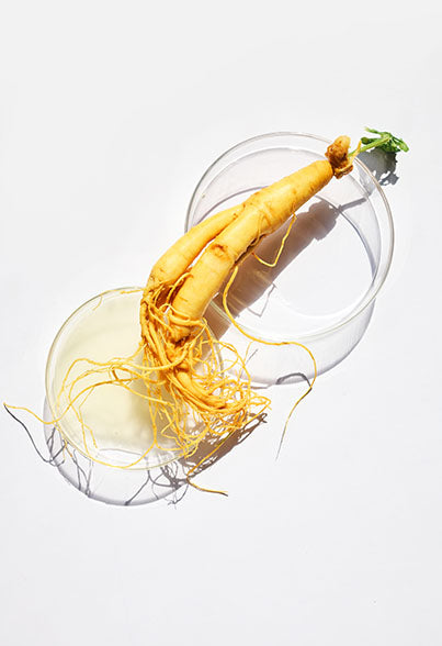 Ginseng for Libido