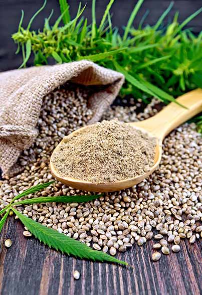Hemp Allergenicity