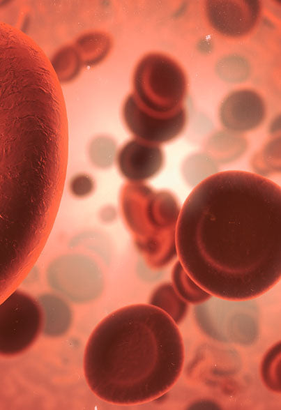 Promotes healthy blood cells
