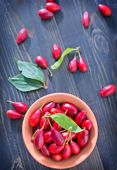 The effect of berberine supplementation on obesity indices