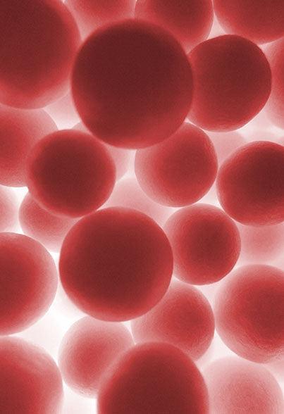 Zinc And Blood Pressure