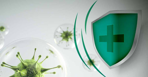 10 Food Toxins That Can Be Concerning To Your Immune System