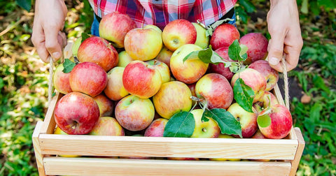 Are Apples Acidic Unraveling the Sweet and Sour Truth
