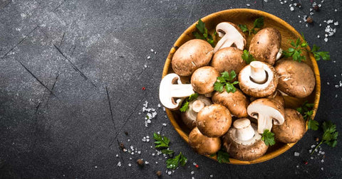 Best Mushroom for Gut Health