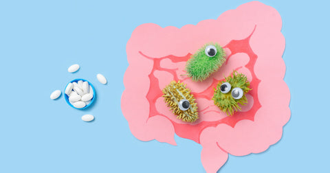 Best Parasite Cleanse: How to Detox Your Gut Safely