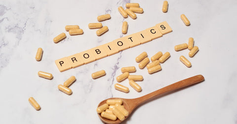 Best Prebiotic Supplements Nourishing Your Gut for Wellness
