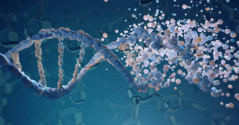 Cellular Response Overview &Types