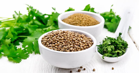 Coriander vs Cilantro: What's the Difference