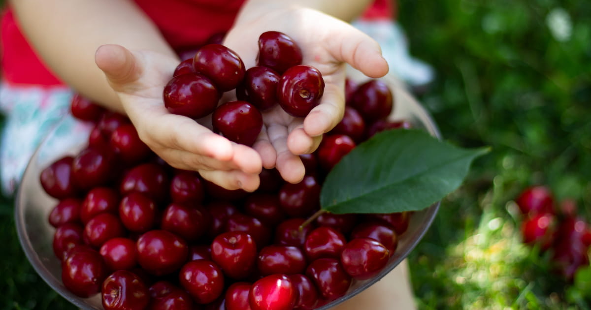 Do Cherries Make You Poop? The Sweet Truth – Advanced Food Intolerance Labs