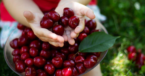 Do Cherries Make You Poop? The Sweet Truth