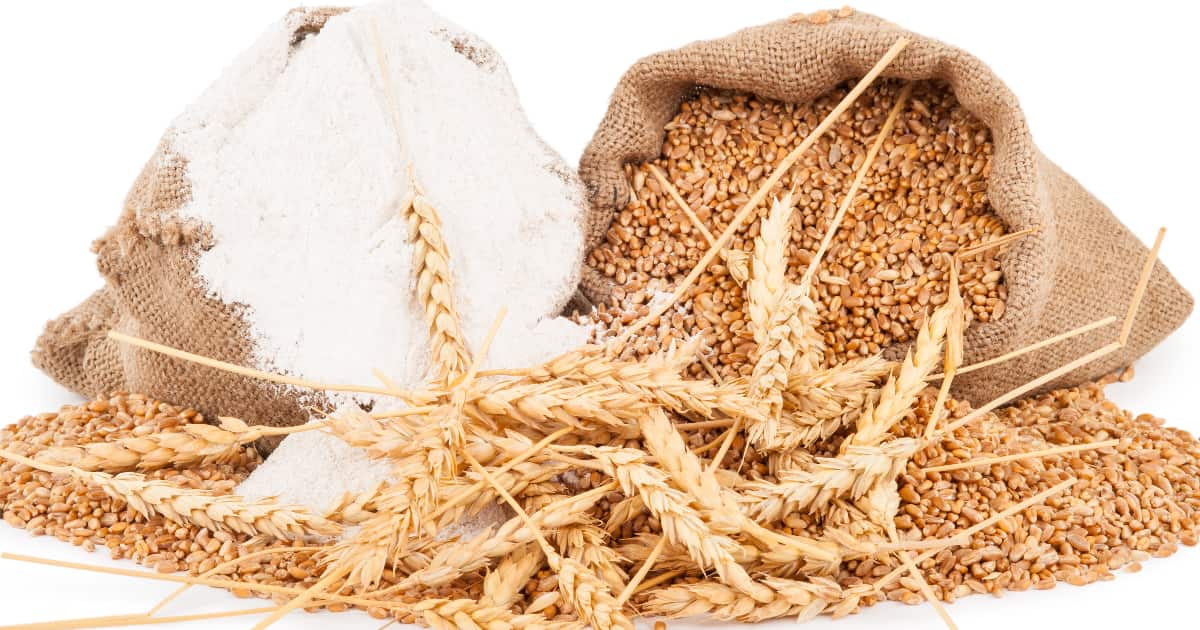 Gluten Sensitivity vs. Wheat Allergy