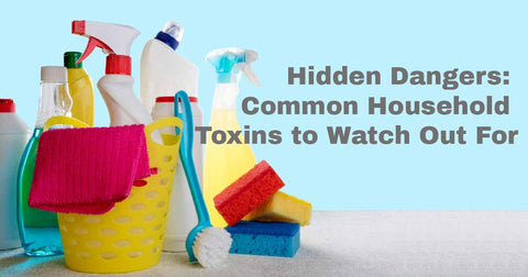 Hidden Dangers Common Household Toxins to Watch Out For