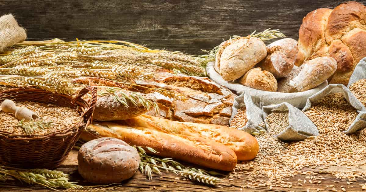 How Environmental Factors Influence Gluten Sensitivity