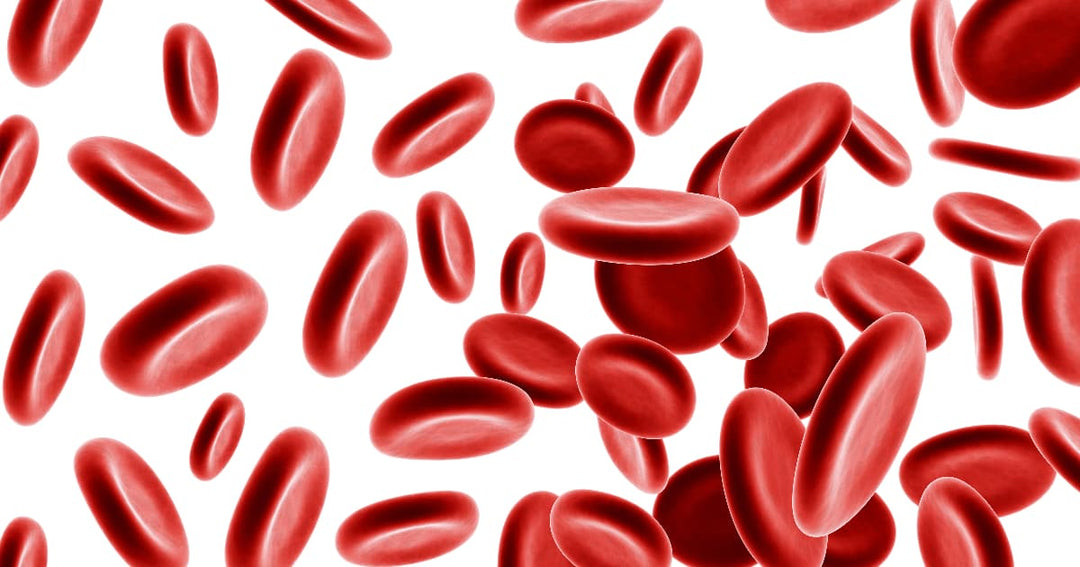 How to Increase Hemoglobin Level Quickly: A Complete Guide – Advanced ...