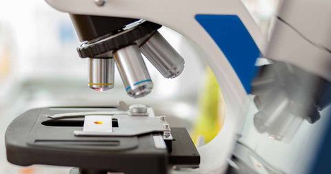 How to Interpret Your Food Sensitivity Test Results: A Guide for Beginners