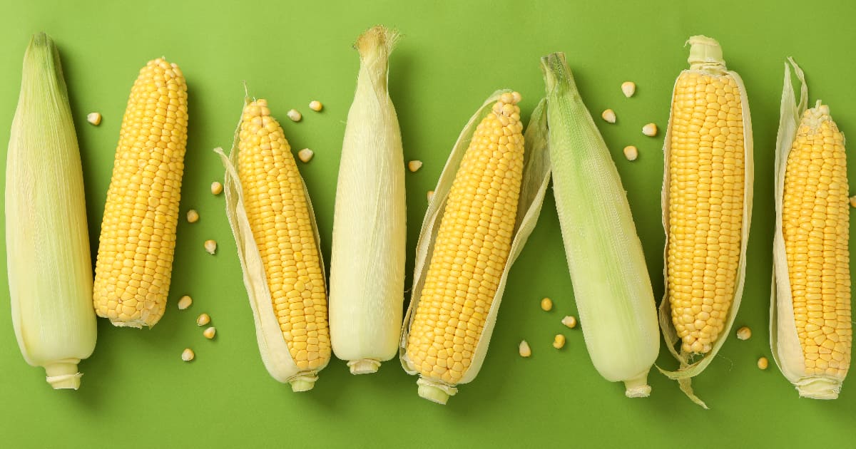 Is Corn Low FODMAP? A Guide to Navigating This Tricky Grain