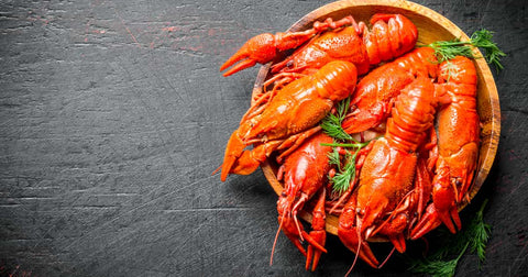 Is Lobster Healthy? Diving Deep into this Seafood Delicacy