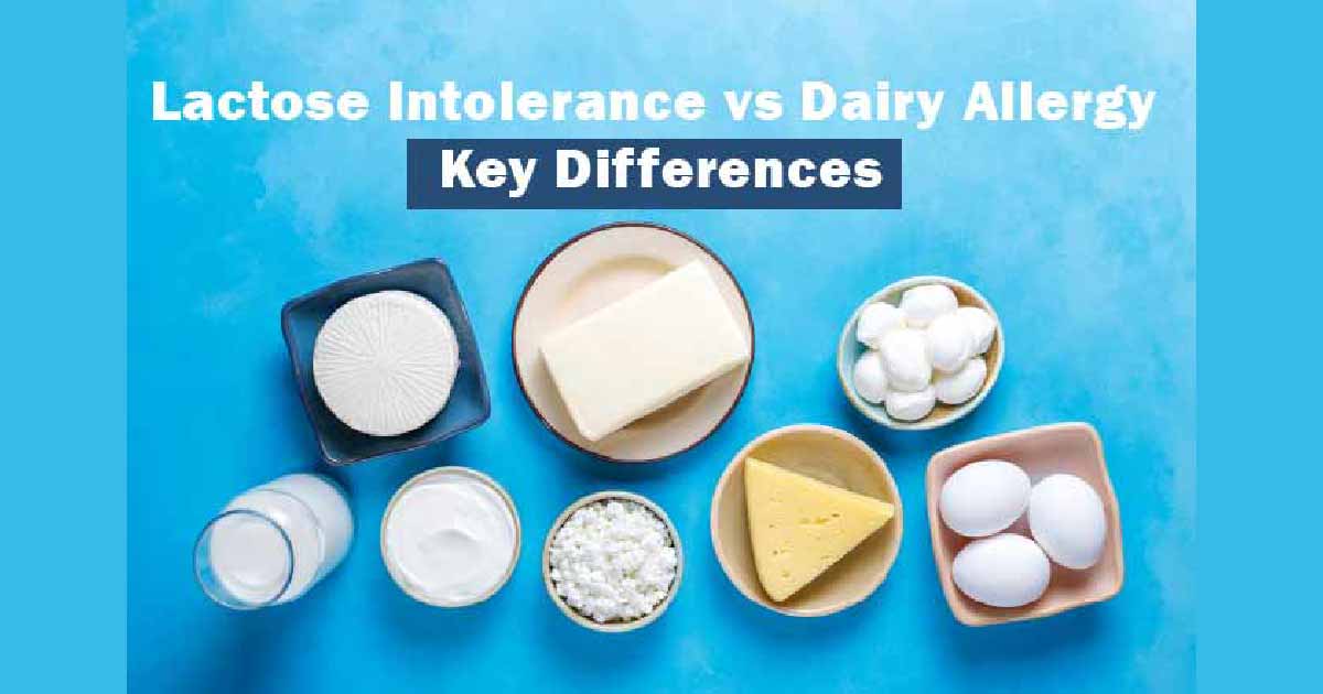 Lactose Intolerance vs Dairy Allergy Key Differences