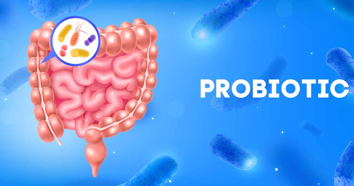 Probiotics and Food Intolerances A Solution to Bloating