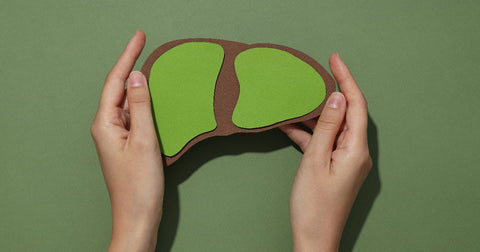 Signs Your Liver Is Healing: How to Know If Your Detox Is Working