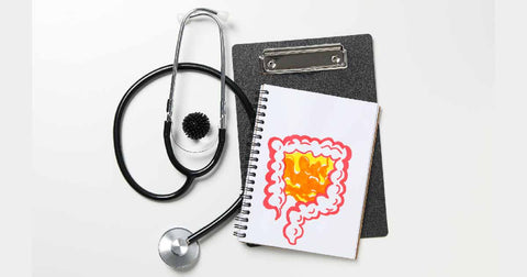 The Role Of the Microbiome in Your Health What a Microbiome Test Can Reveal