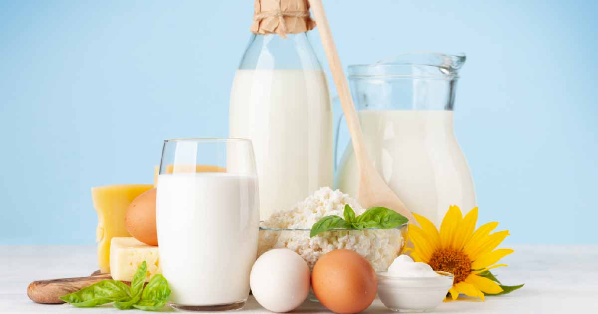 The Top Foods That Cause Lactose Intolerance and How to Manage Them