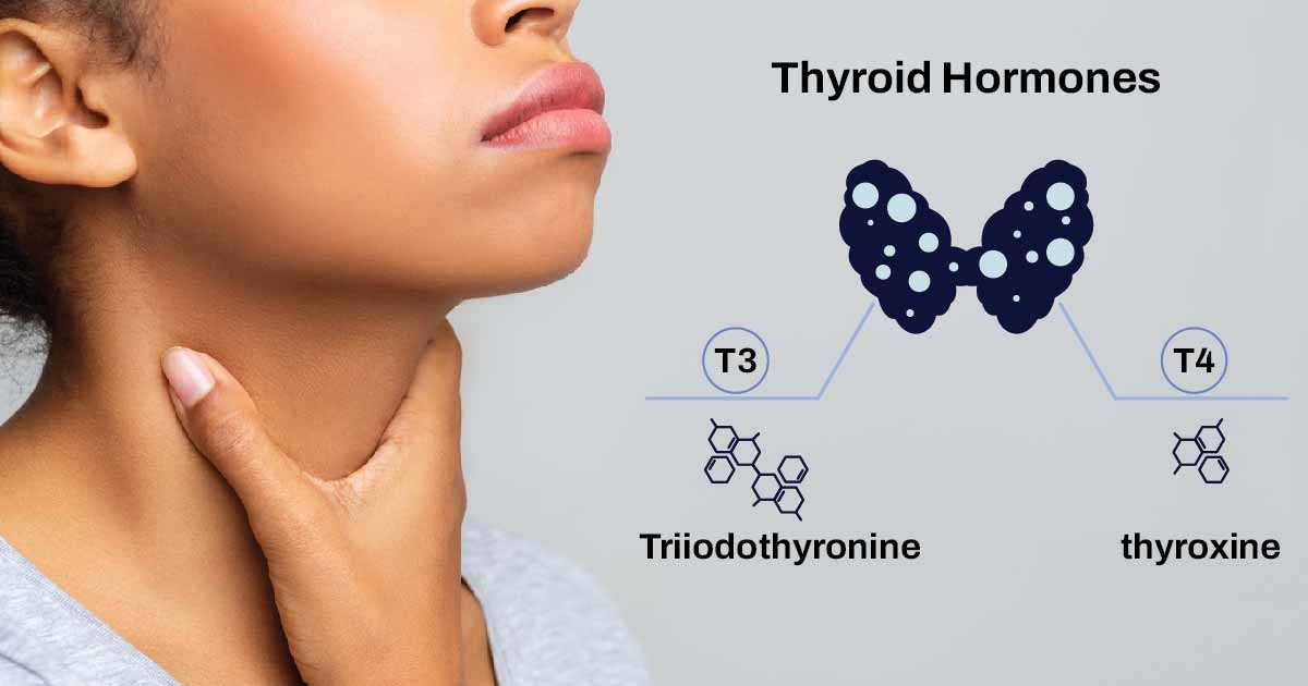 Thyroid Hormones (T3 and T4): What it is, and How are They Different?