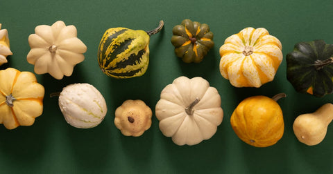 Types of Squash