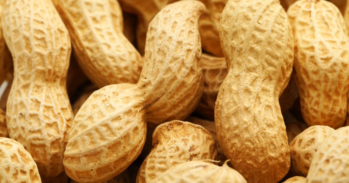 Understanding Peanut Allergy Symptoms