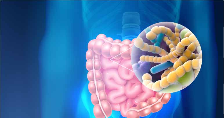 What Are Digestive Enzymes And How Do They Work