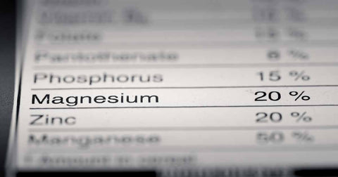What Is The Role Of Magnesium In The Body