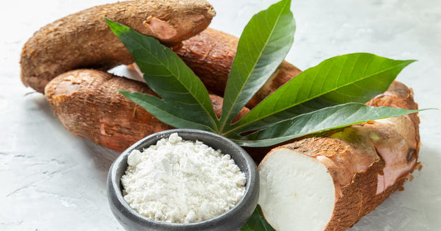 Yucca Root: Health Benefits of This Versatile Tuber – Advanced Food ...