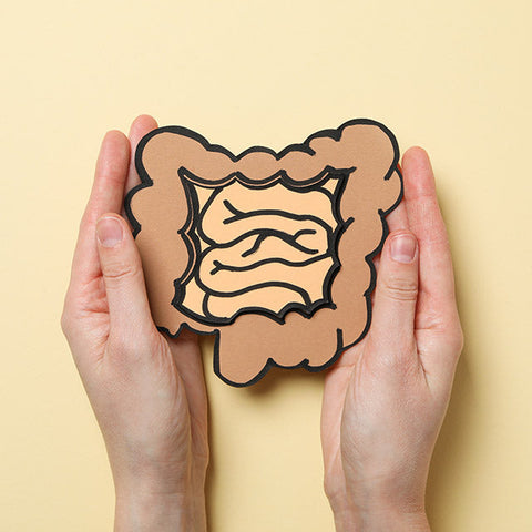 Digestive Health