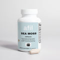 Sea Moss