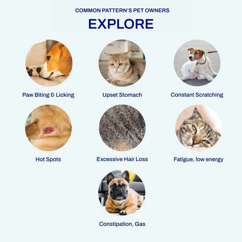 Pet Food Intolerance Kit (Dry)