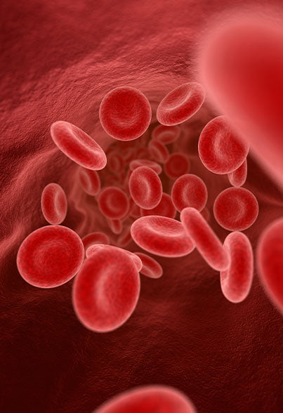 Calcium role in cardiovascular health