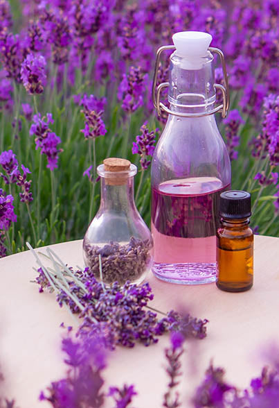 Calming Lavender Essence