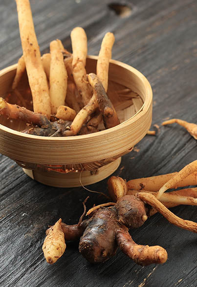 Cordyceps for Anti-inflammatory Activities