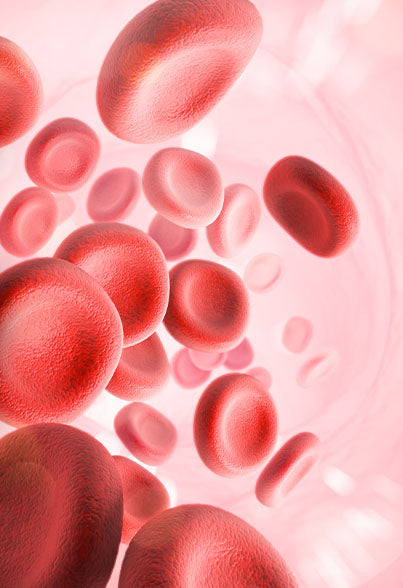 Curcumin and Blood Lipids