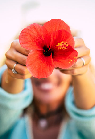 Hibiscus Harmony