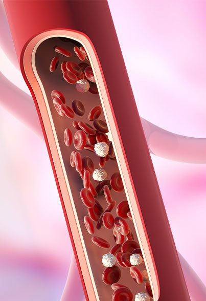 Reduced calcium plaque in arteries